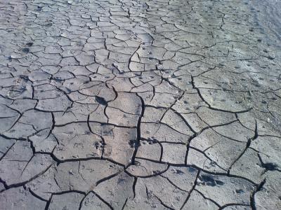 Прикрепленное изображение: вод4.jpg